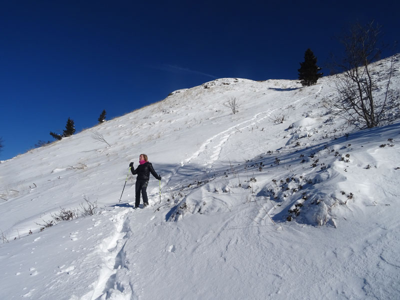 Catena dei Lagorai...da Pergine al Passo del Manghen